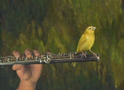 flutebird